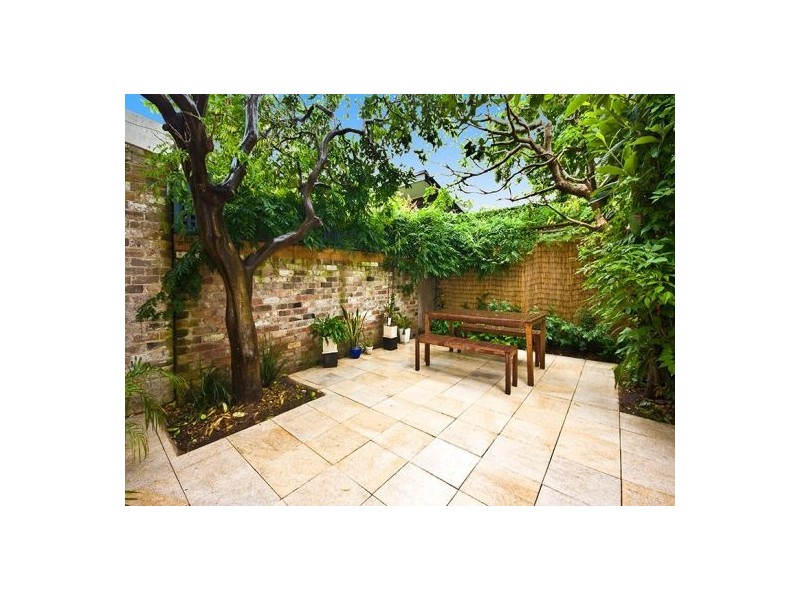 Telopea Street, Surry Hills NSW 2010