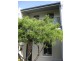 41 Gowrie Street, Newtown NSW 2042