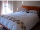 41 Gowrie Street, Newtown NSW 2042