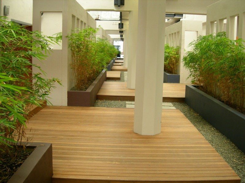 Marrickville NSW 2204