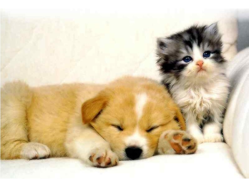 21/238 William Street, Darlinghurst NSW 2010