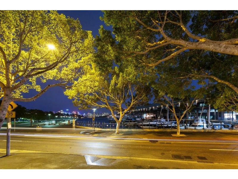 101/15 Pirrama Road, Pyrmont NSW 2009