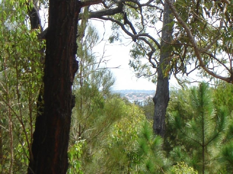 16  Piccaninny Street, Macleay Island QLD 4184