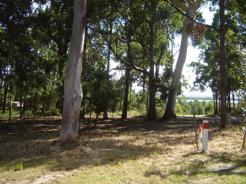 17 Brolga Street, Macleay Island QLD 4184