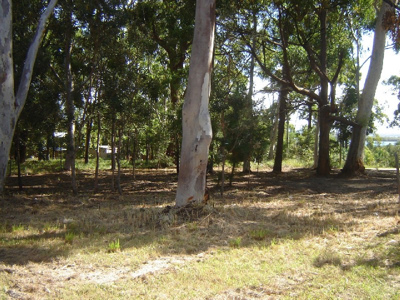 17 Brolga Street, Macleay Island QLD 4184