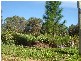 2 Conran Street, Macleay Island QLD 4184