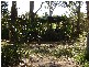 3 Attunga Street, Macleay Island QLD 4184