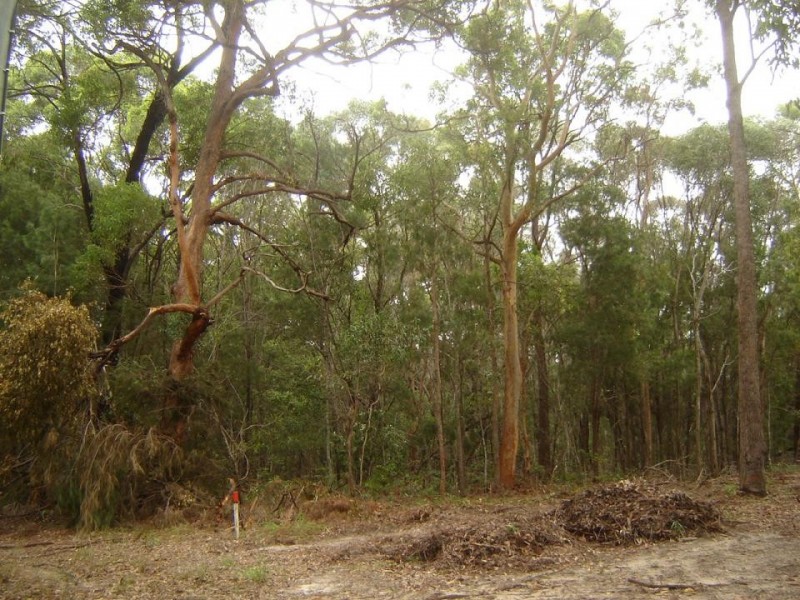 13  Natone Terrace, Macleay Island QLD 4184