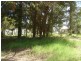 13 Kevin Street, Macleay Island QLD 4184
