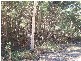 7 ORANA, Macleay Island QLD 4184