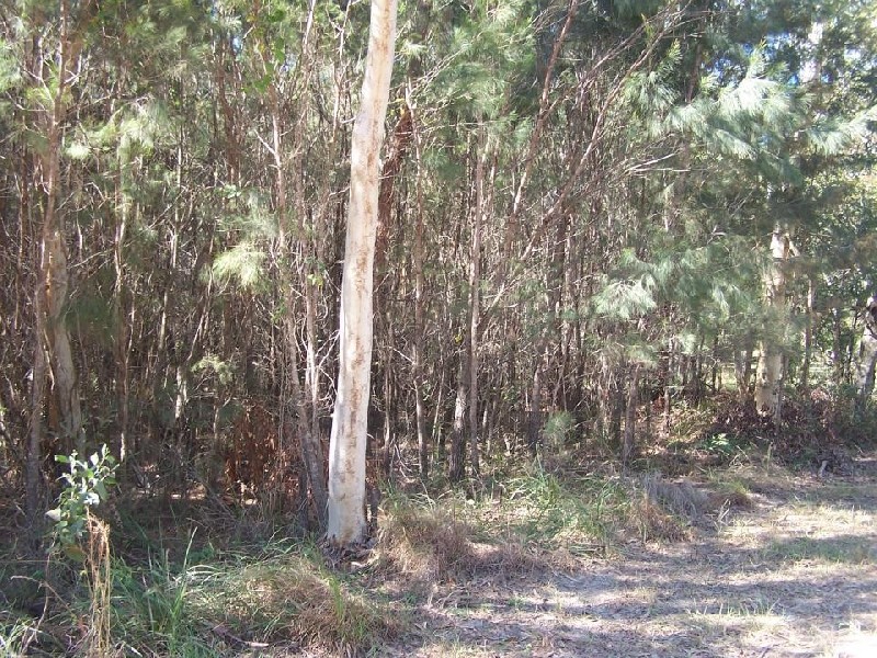 7 ORANA, Macleay Island QLD 4184