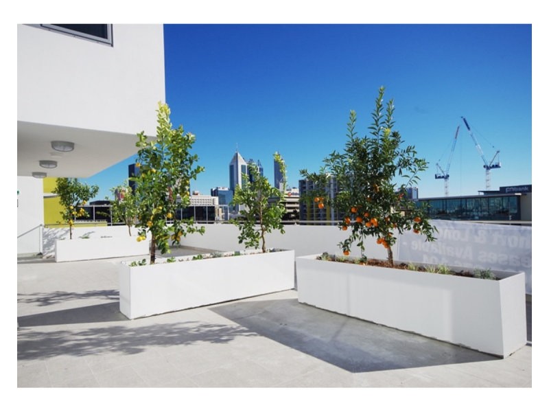 89/33 Newcastle Street, Perth WA 6000