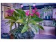 8 Cambrian Mall, Alexander Heights WA 6064
