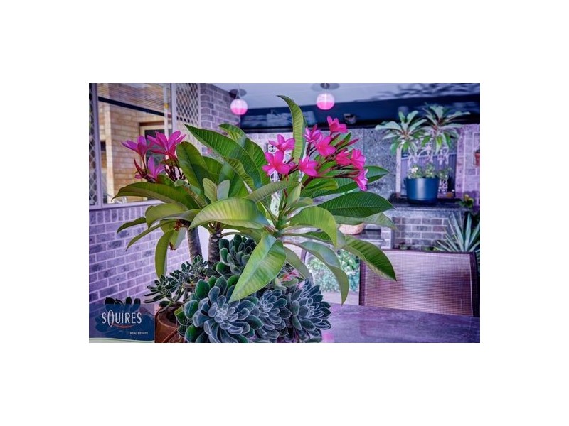 8 Cambrian Mall, Alexander Heights WA 6064
