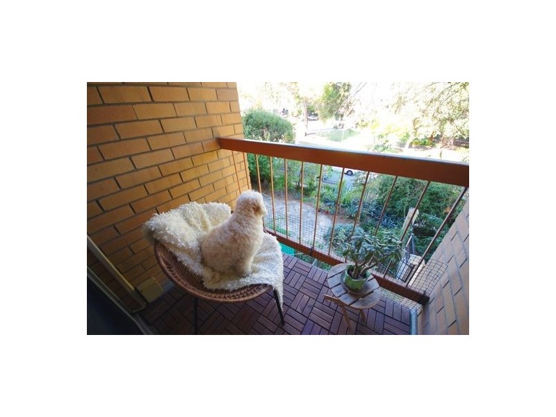 17/537 William Street, Mount Lawley WA 6050