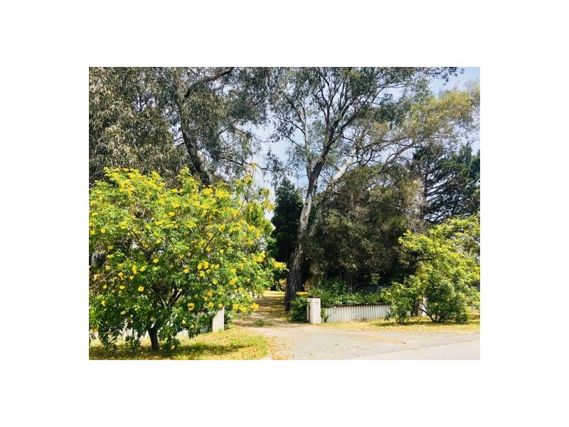 41 Foyle Road, Bayswater WA 6053