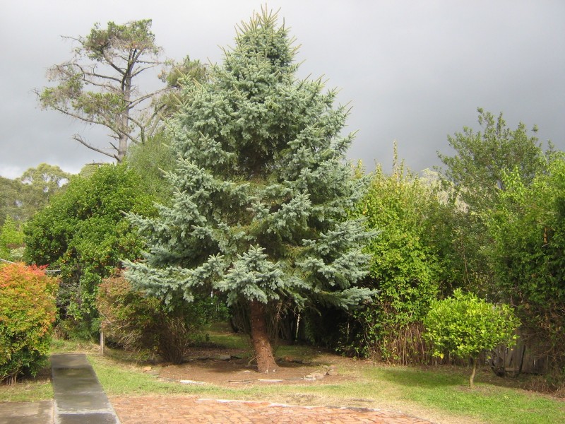 31 Foster Street, Railton TAS 7305