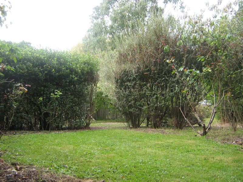 31 Foster Street, Railton TAS 7305