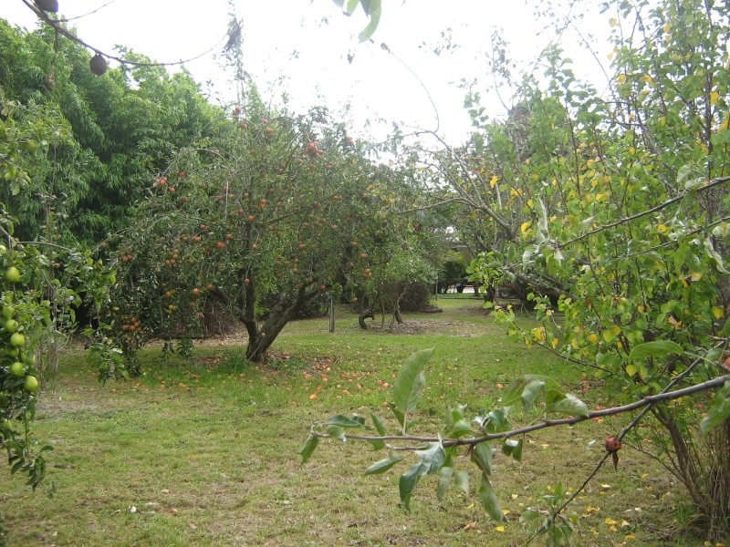 31 Foster Street, Railton TAS 7305