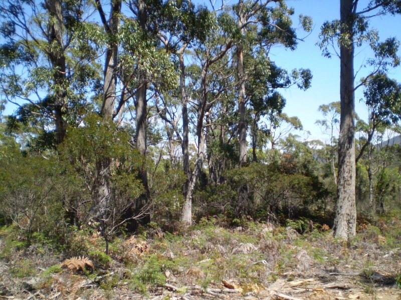 1 Roaring Beach, Nubeena TAS 7184