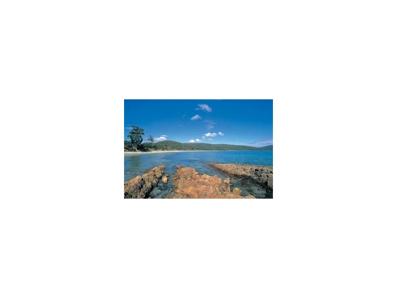 128 White Beach Road, White Beach TAS 7184