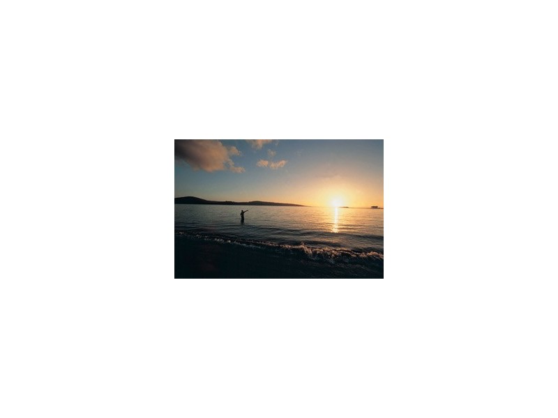 128 White Beach Road, White Beach TAS 7184