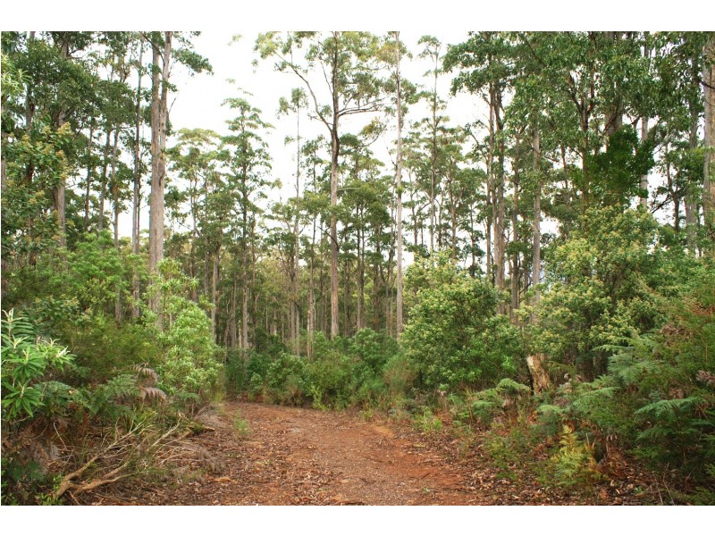 203 Wrenswood Drive, Spreyton TAS 7310