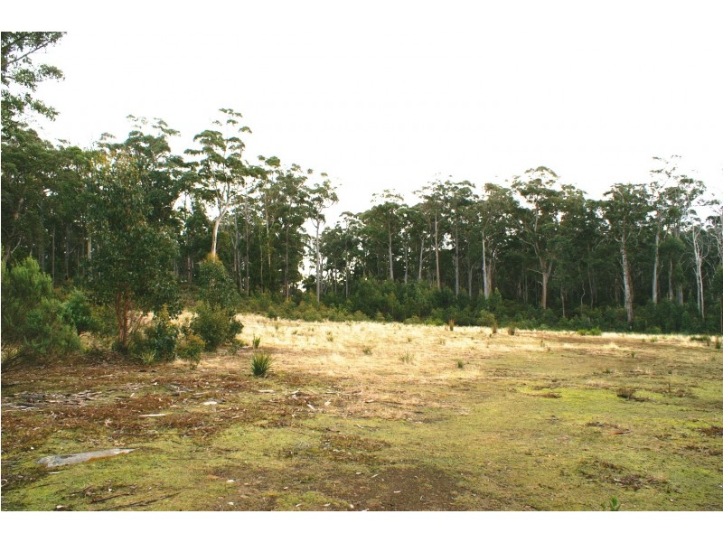 203 Wrenswood Drive, Spreyton TAS 7310