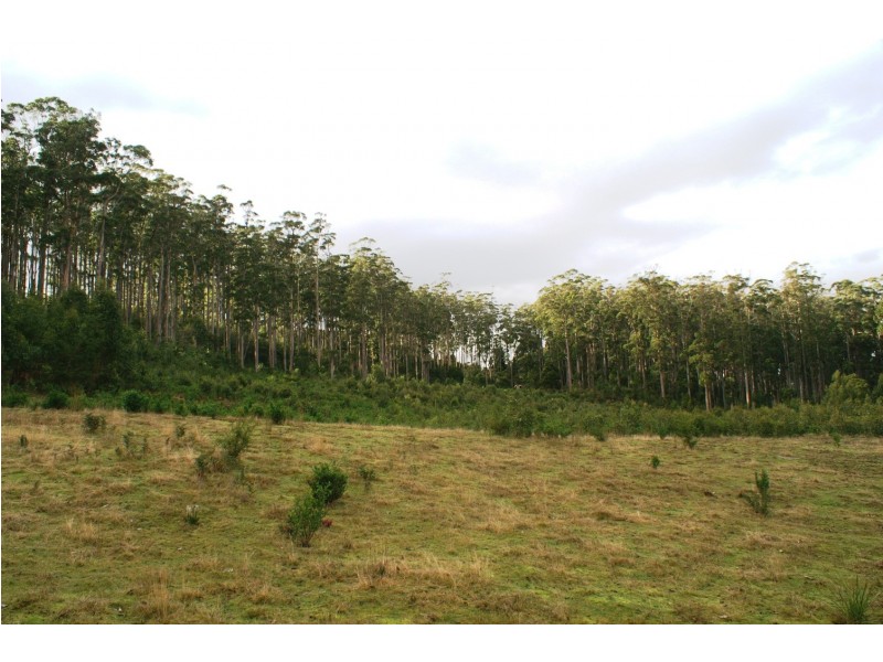 203 Wrenswood Drive, Spreyton TAS 7310