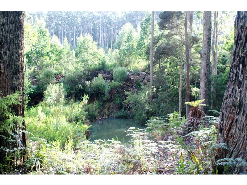 203 Wrenswood Drive, Spreyton TAS 7310