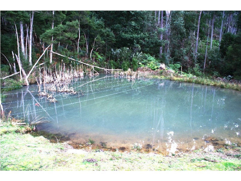 56 Squibbs Road, Spreyton TAS 7310