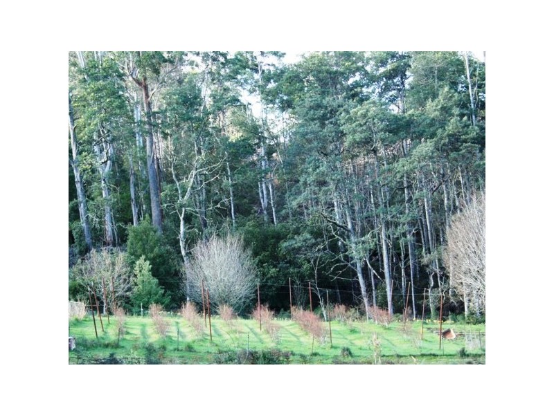 Wilmot TAS 7310