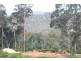 Wilmot TAS 7310