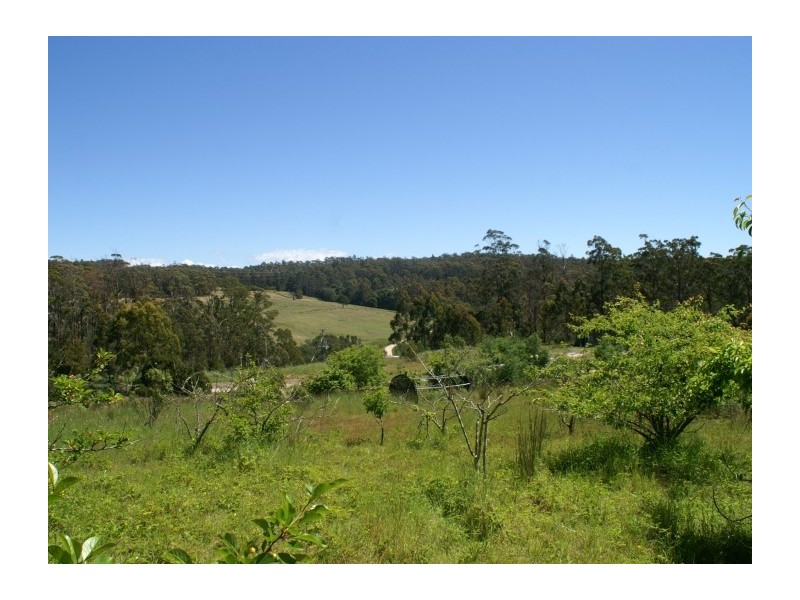 20 Creeleys Rd, Latrobe TAS 7307