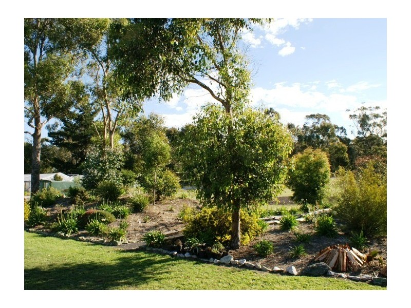 Latrobe TAS 7307