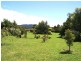 62 Barrington Rd, Sheffield TAS 7306