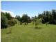 62  Barrington Road, Sheffield TAS 7306
