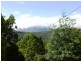 258 BUXTONS ROAD, Wilmot TAS 7310