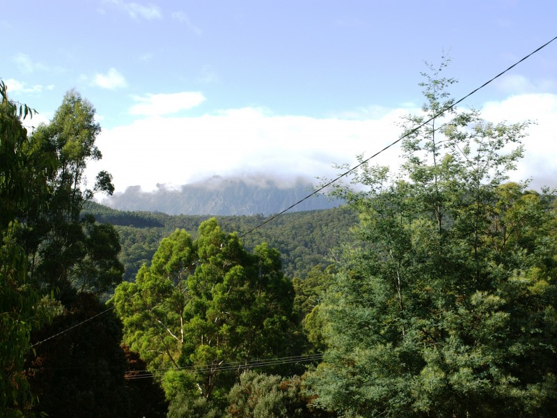 258 BUXTONS ROAD, Wilmot TAS 7310
