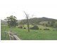 250 St Columba Falls Rd, Pyengana TAS 7216