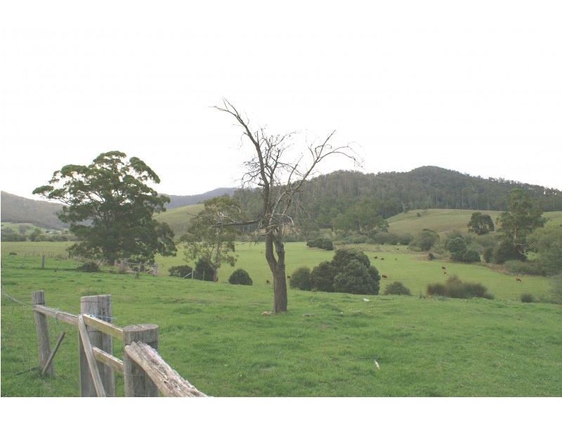 250 St Columba Falls Rd, Pyengana TAS 7216
