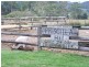 250 St Columba Falls Rd, Pyengana TAS 7216