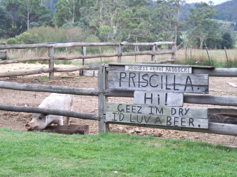 250 St Columba Falls Rd, Pyengana TAS 7216