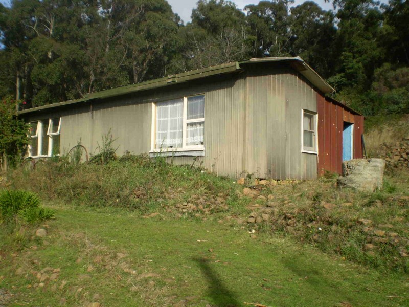 West Kentish TAS 7306