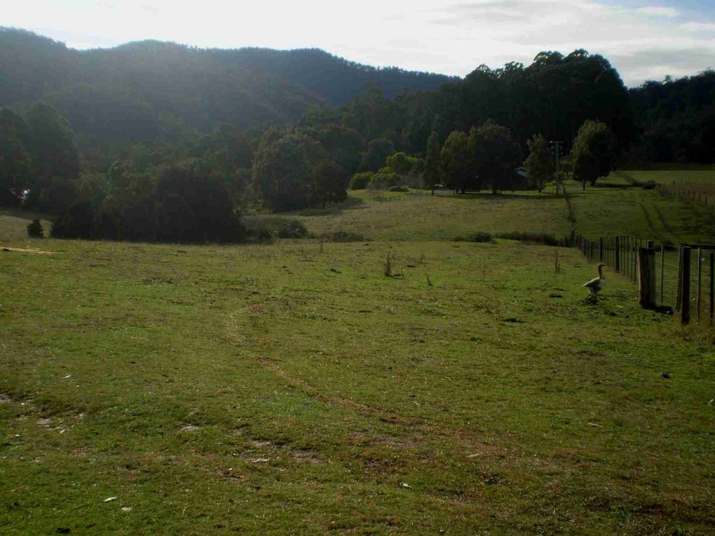 West Kentish TAS 7306