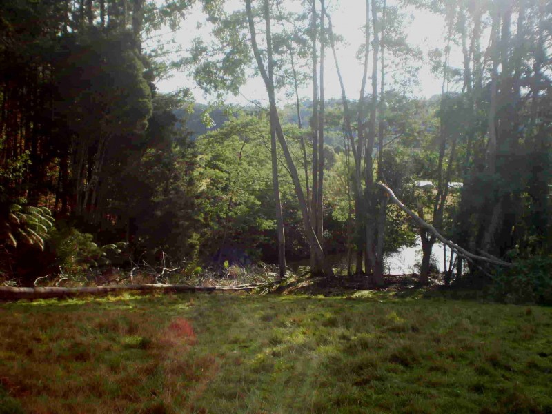 West Kentish TAS 7306