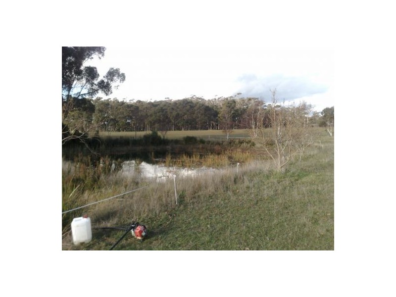 Wesley Vale TAS 7307