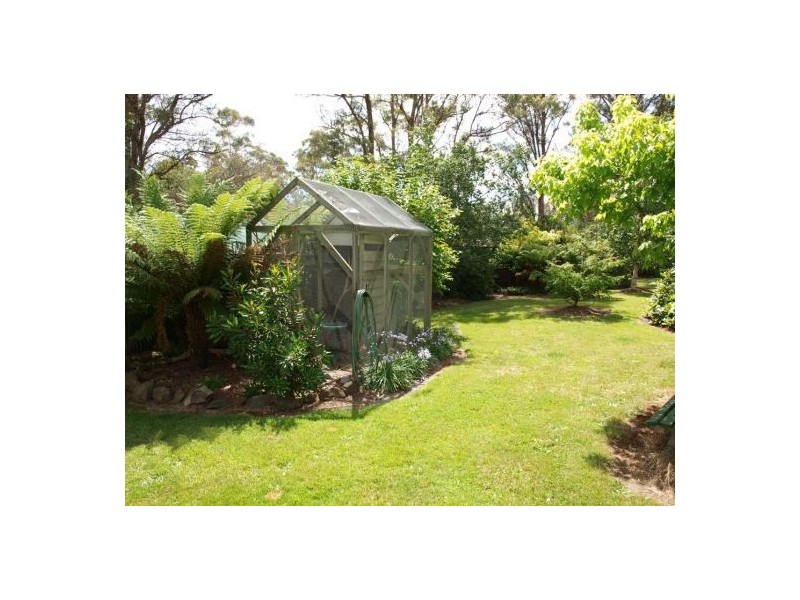 Elizabeth Town TAS 7304