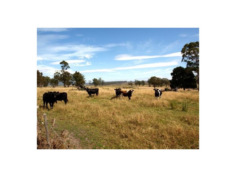 Elizabeth Town TAS 7304