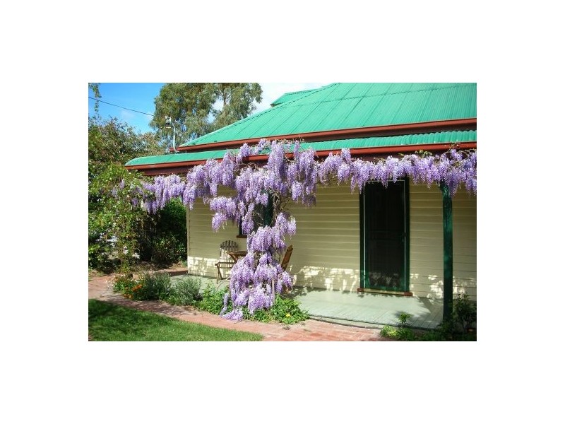 4 Vicary St, Triabunna TAS 7190